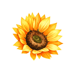 Sponsari logo